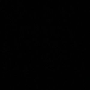 Meet your Posher, Isabella